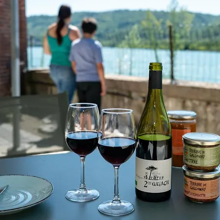 L'escale Du Rhone De 1 A 8 Personnes